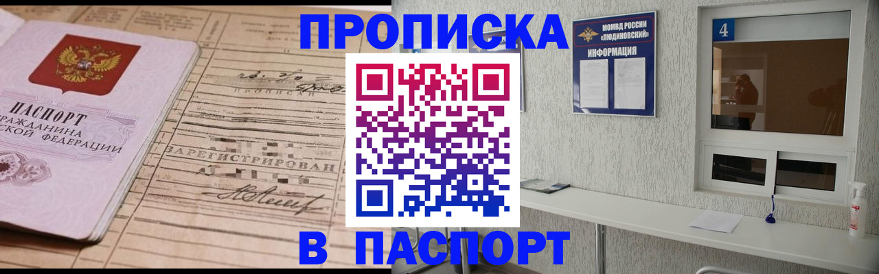 временная регистрация в Никольском